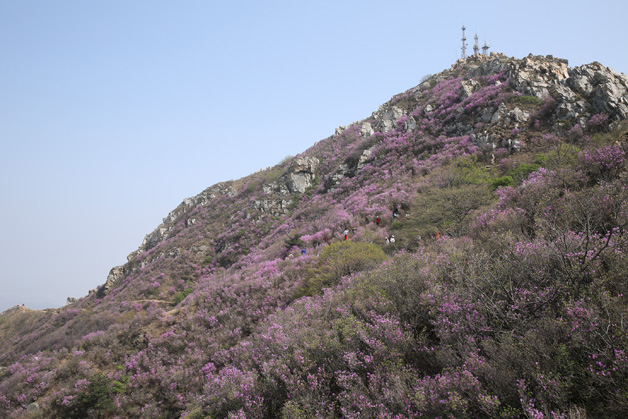 太阳集团城8722(Macau)股份有限公司-Official website