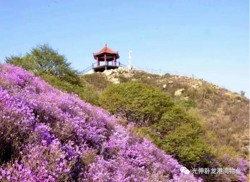 太阳集团城8722(Macau)股份有限公司-Official website