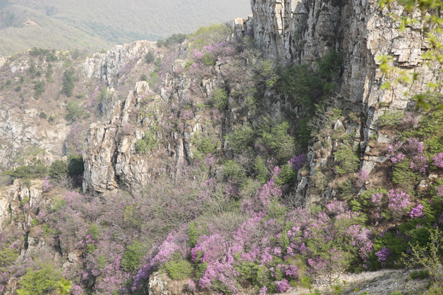 太阳集团城8722(Macau)股份有限公司-Official website