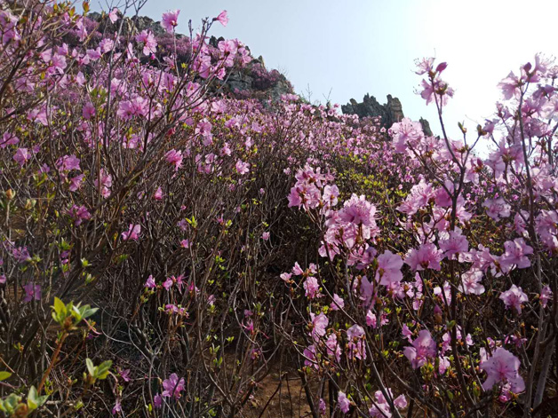 太阳集团城8722(Macau)股份有限公司-Official website