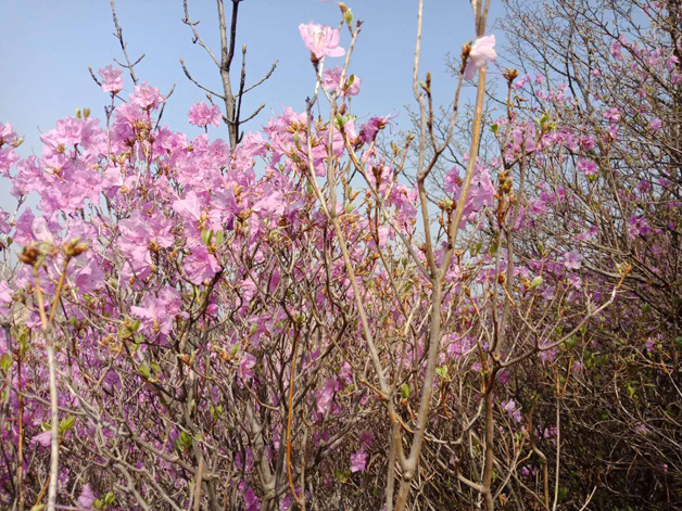 太阳集团城8722(Macau)股份有限公司-Official website